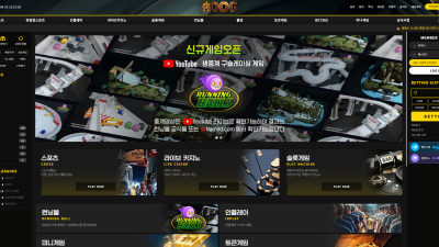 도그 먹튀 사이트 확정! dog-ok.com 도메인 주소 확인 후 이용 중단바랍니다.